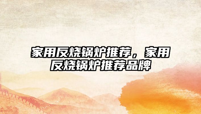 家用反燒鍋爐推薦，家用反燒鍋爐推薦品牌