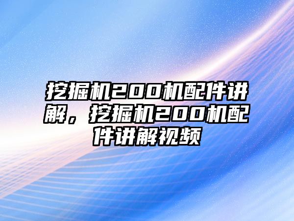 挖掘機(jī)200機(jī)配件講解，挖掘機(jī)200機(jī)配件講解視頻