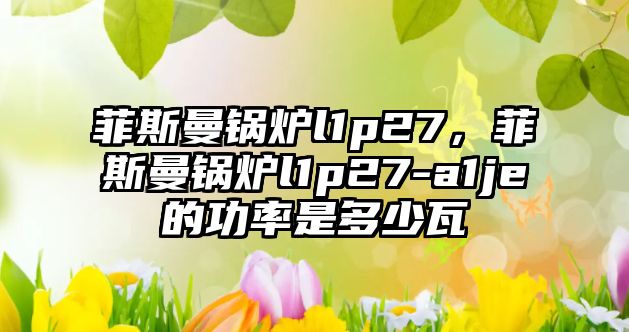 菲斯曼鍋爐l1p27，菲斯曼鍋爐l1p27-a1je的功率是多少瓦