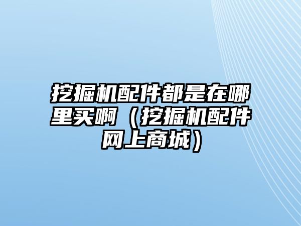 挖掘機配件都是在哪里買?。ㄍ诰驒C配件網上商城）