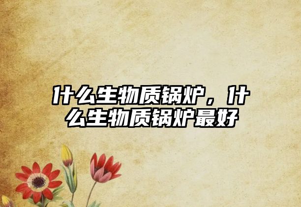 什么生物質(zhì)鍋爐，什么生物質(zhì)鍋爐最好