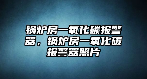 鍋爐房一氧化碳報警器，鍋爐房一氧化碳報警器照片