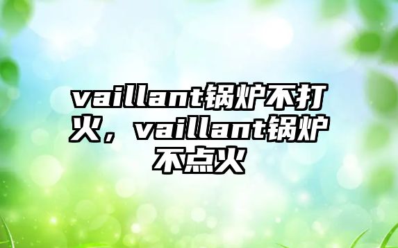 vaillant鍋爐不打火，vaillant鍋爐不點(diǎn)火