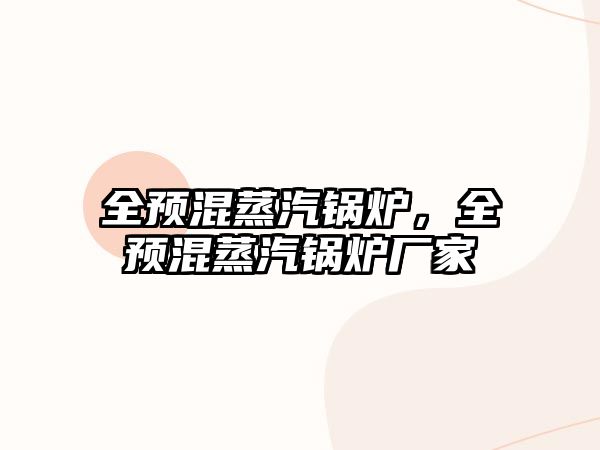 全預(yù)混蒸汽鍋爐，全預(yù)混蒸汽鍋爐廠家