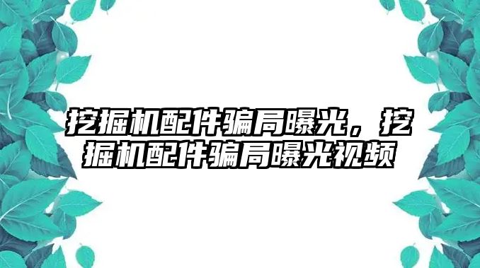 挖掘機配件騙局曝光，挖掘機配件騙局曝光視頻