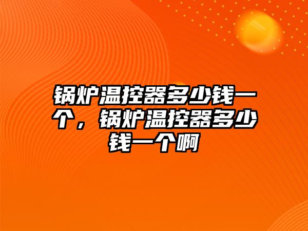 鍋爐溫控器多少錢一個，鍋爐溫控器多少錢一個啊