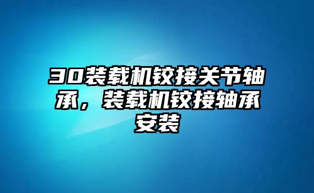 30裝載機鉸接關節(jié)軸承，裝載機鉸接軸承安裝