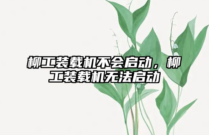 柳工裝載機不會啟動，柳工裝載機無法啟動