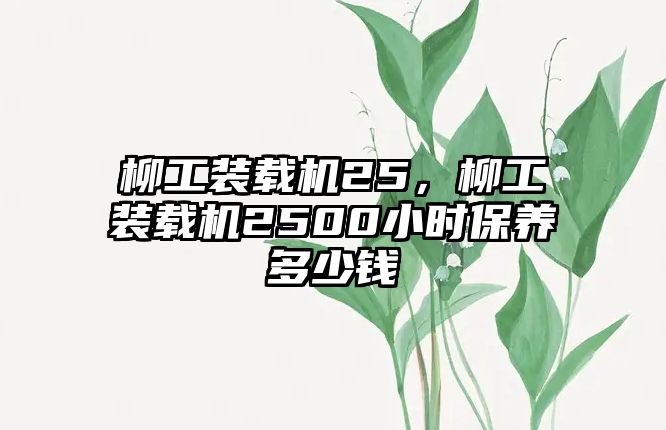 柳工裝載機(jī)25，柳工裝載機(jī)2500小時(shí)保養(yǎng)多少錢