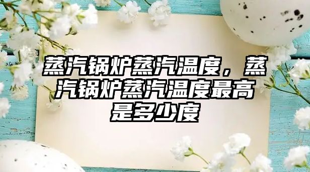 蒸汽鍋爐蒸汽溫度，蒸汽鍋爐蒸汽溫度最高是多少度