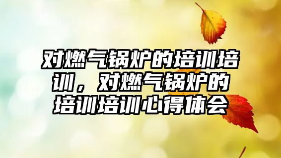 對(duì)燃?xì)忮仩t的培訓(xùn)培訓(xùn)，對(duì)燃?xì)忮仩t的培訓(xùn)培訓(xùn)心得體會(huì)