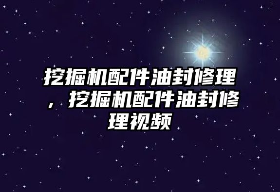 挖掘機(jī)配件油封修理，挖掘機(jī)配件油封修理視頻