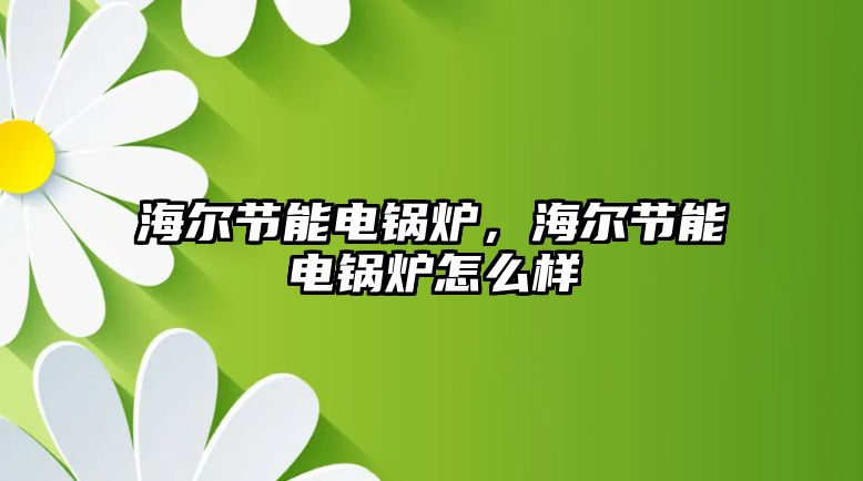 海爾節(jié)能電鍋爐，海爾節(jié)能電鍋爐怎么樣