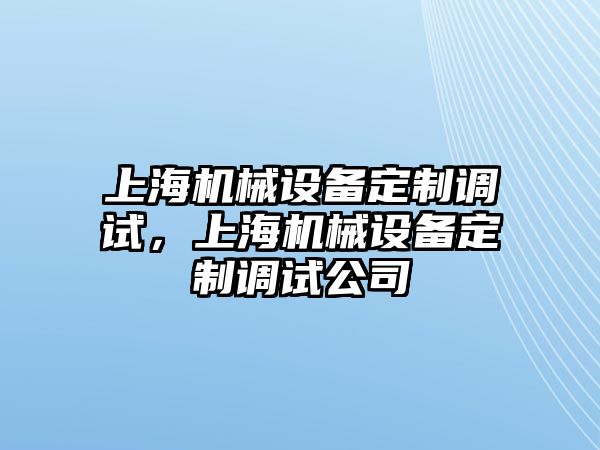 上海機(jī)械設(shè)備定制調(diào)試，上海機(jī)械設(shè)備定制調(diào)試公司