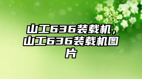 山工636裝載機(jī)，山工636裝載機(jī)圖片