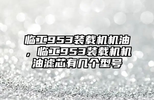 臨工953裝載機(jī)機(jī)油，臨工953裝載機(jī)機(jī)油濾芯有幾個(gè)型號