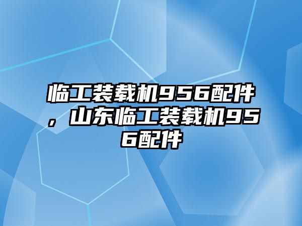 臨工裝載機956配件，山東臨工裝載機956配件