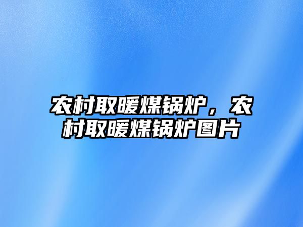 農(nóng)村取暖煤鍋爐，農(nóng)村取暖煤鍋爐圖片