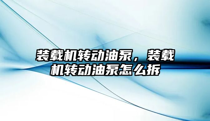 裝載機轉(zhuǎn)動油泵，裝載機轉(zhuǎn)動油泵怎么拆