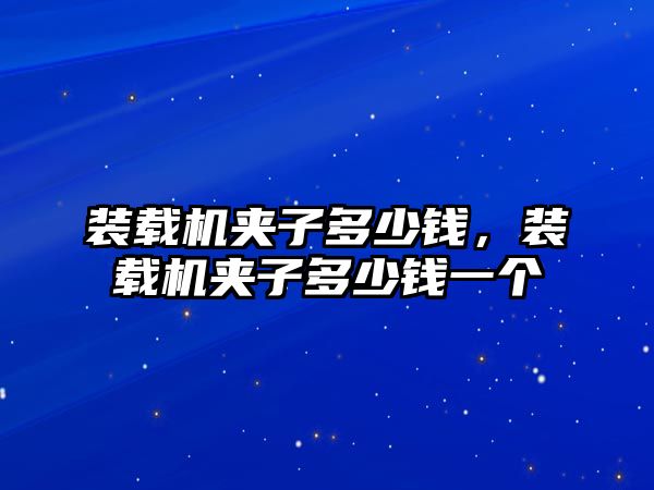 裝載機(jī)夾子多少錢，裝載機(jī)夾子多少錢一個