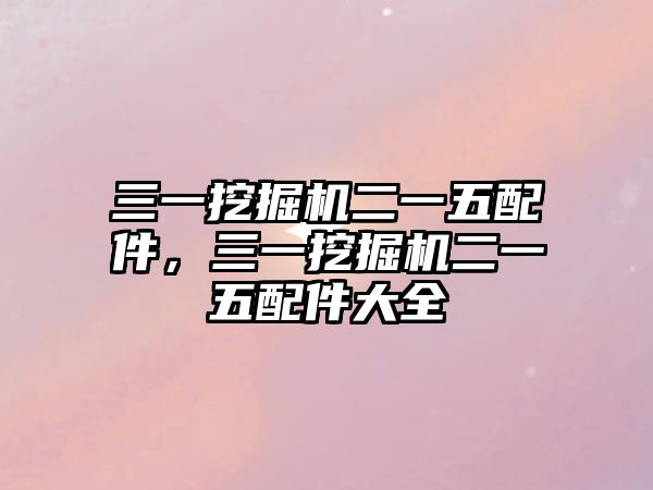 三一挖掘機(jī)二一五配件，三一挖掘機(jī)二一五配件大全