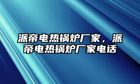 派帝電熱鍋爐廠家，派帝電熱鍋爐廠家電話