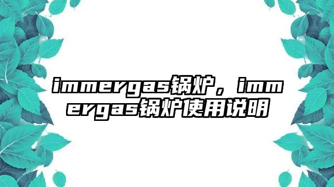 immergas鍋爐，immergas鍋爐使用說明