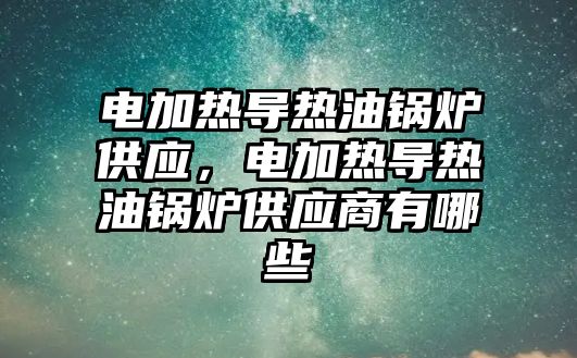 電加熱導熱油鍋爐供應，電加熱導熱油鍋爐供應商有哪些