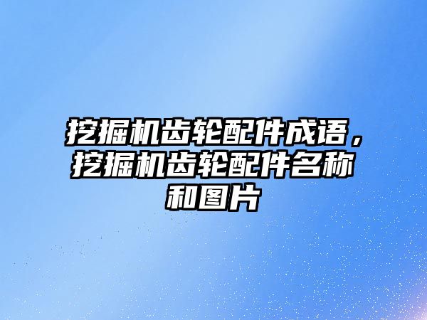 挖掘機齒輪配件成語，挖掘機齒輪配件名稱和圖片