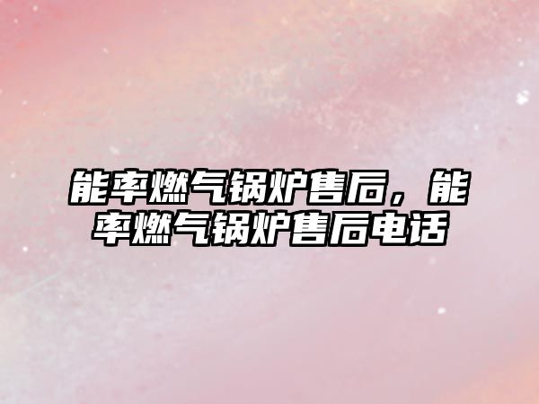 能率燃?xì)忮仩t售后，能率燃?xì)忮仩t售后電話