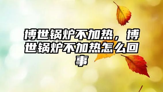 博世鍋爐不加熱，博世鍋爐不加熱怎么回事