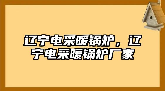 遼寧電采暖鍋爐，遼寧電采暖鍋爐廠家