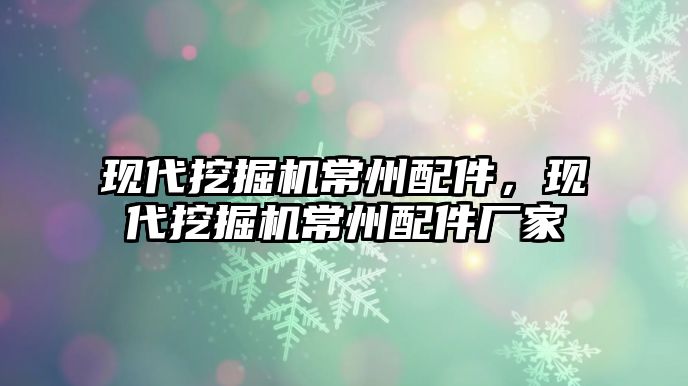 現(xiàn)代挖掘機常州配件，現(xiàn)代挖掘機常州配件廠家