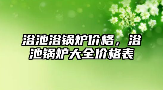 浴池浴鍋爐價格，浴池鍋爐大全價格表