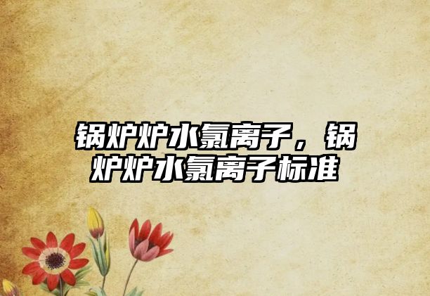 鍋爐爐水氯離子，鍋爐爐水氯離子標(biāo)準(zhǔn)