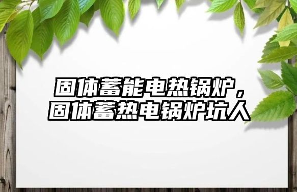 固體蓄能電熱鍋爐，固體蓄熱電鍋爐坑人