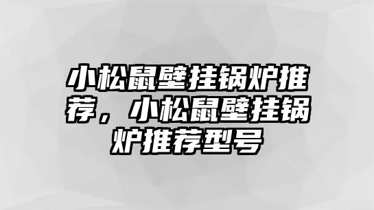 小松鼠壁掛鍋爐推薦，小松鼠壁掛鍋爐推薦型號(hào)