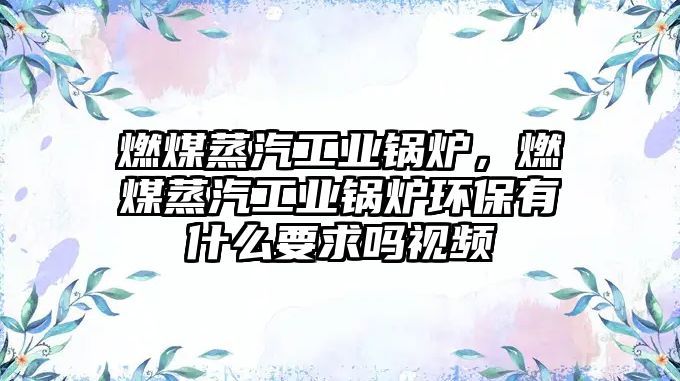 燃煤蒸汽工業(yè)鍋爐，燃煤蒸汽工業(yè)鍋爐環(huán)保有什么要求嗎視頻