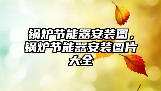 鍋爐節(jié)能器安裝圖，鍋爐節(jié)能器安裝圖片大全