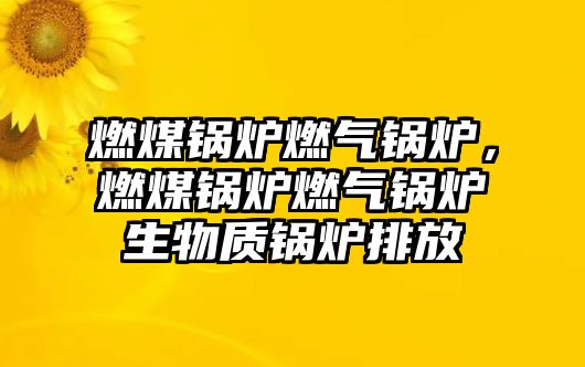 燃煤鍋爐燃?xì)忮仩t，燃煤鍋爐燃?xì)忮仩t生物質(zhì)鍋爐排放