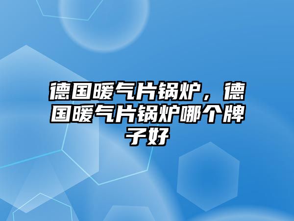 德國暖氣片鍋爐，德國暖氣片鍋爐哪個牌子好