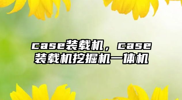 case裝載機，case裝載機挖掘機一體機