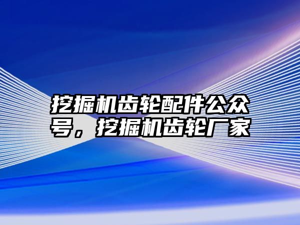 挖掘機齒輪配件公眾號，挖掘機齒輪廠家