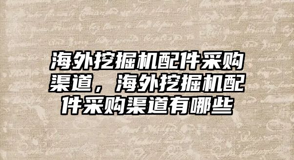 海外挖掘機(jī)配件采購渠道，海外挖掘機(jī)配件采購渠道有哪些