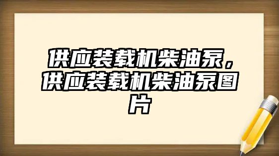 供應(yīng)裝載機柴油泵，供應(yīng)裝載機柴油泵圖片