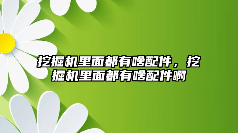 挖掘機里面都有啥配件，挖掘機里面都有啥配件啊