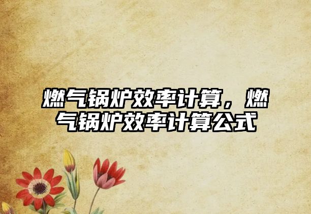 燃?xì)忮仩t效率計算，燃?xì)忮仩t效率計算公式