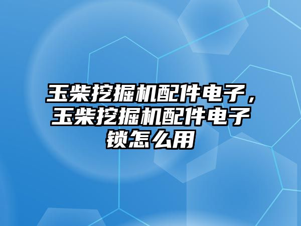 玉柴挖掘機配件電子，玉柴挖掘機配件電子鎖怎么用