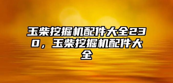 玉柴挖掘機配件大全230，玉柴挖掘機配件大全