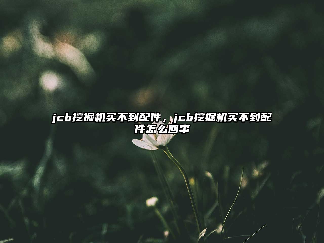 jcb挖掘機(jī)買(mǎi)不到配件，jcb挖掘機(jī)買(mǎi)不到配件怎么回事